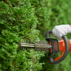 Gardening